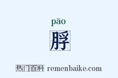 脬是什么意思的图片